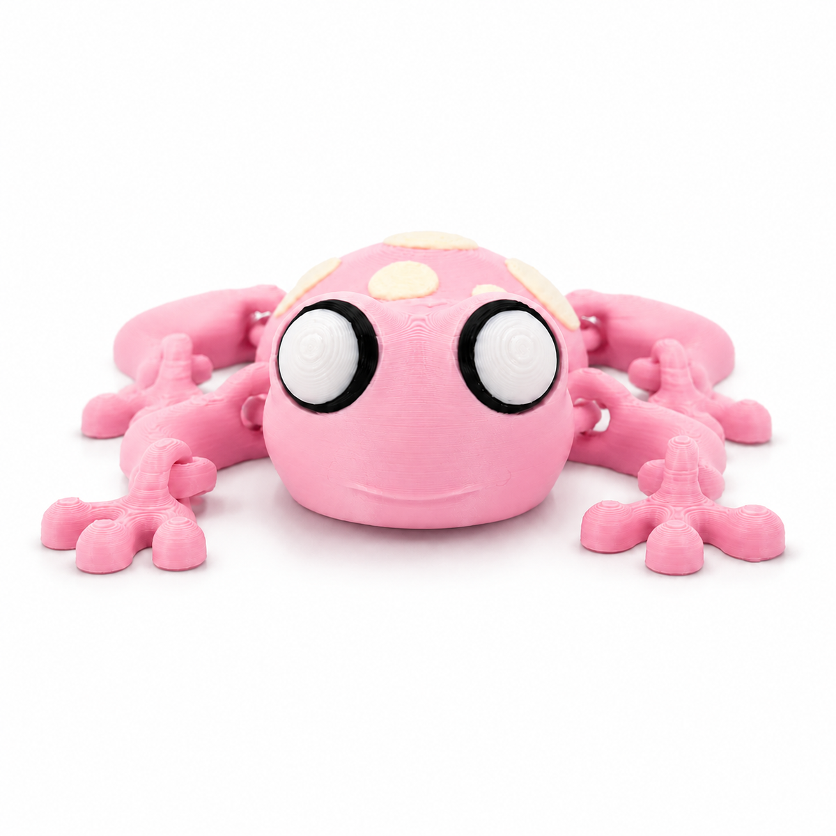 Cute Articulated Frog