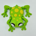 Cute Articulated Frog