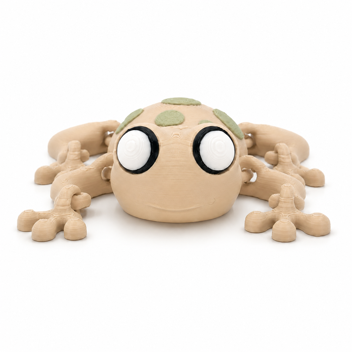 Cute Articulated Frog