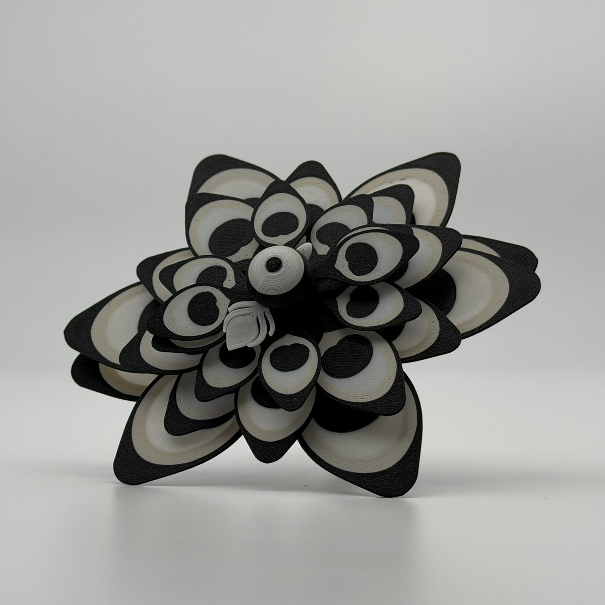 Peacock Fidget