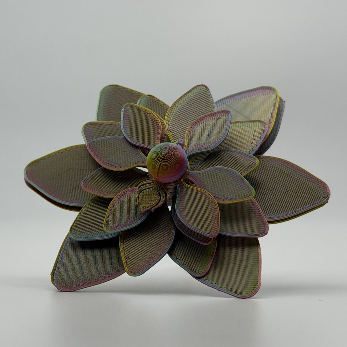Peacock Fidget