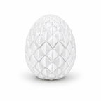 Hatching Baby Dragon Egg