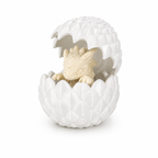 Hatching Baby Dragon Egg