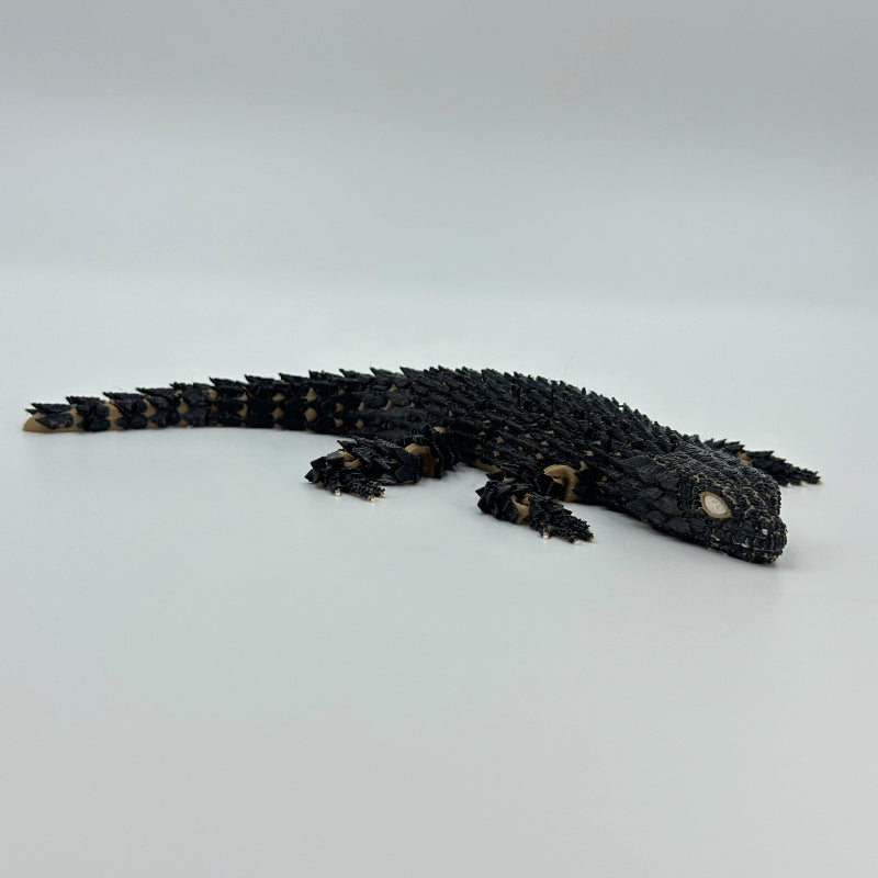 Flexi Girdled Armadillo Lizard