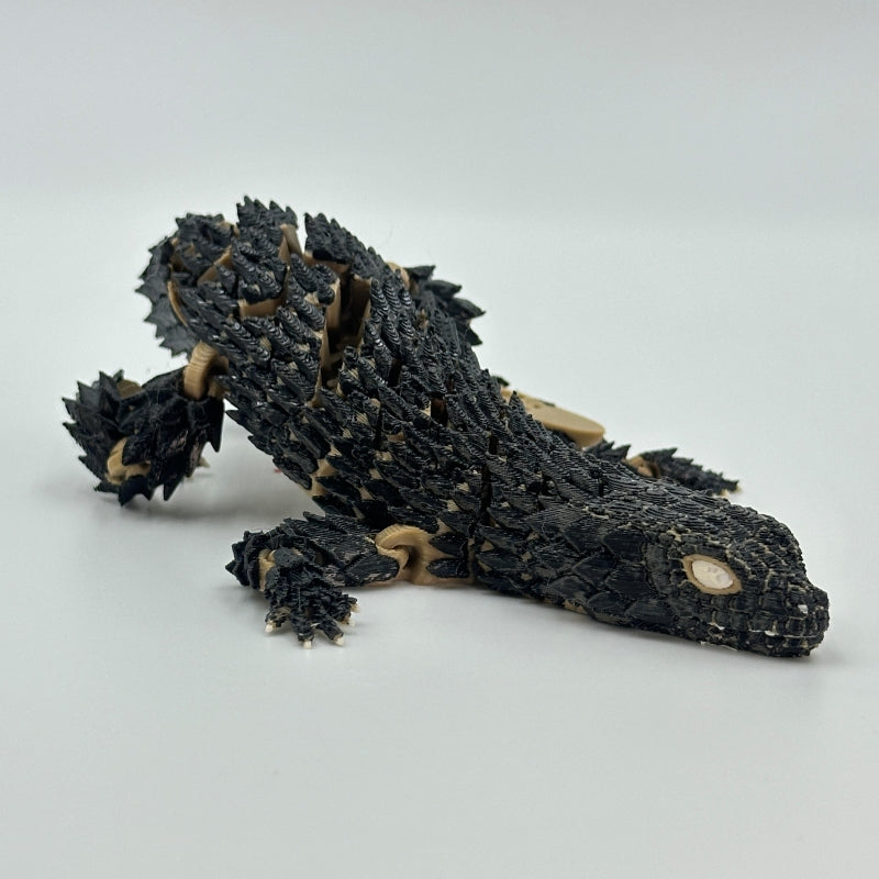 Flexi Girdled Armadillo Lizard